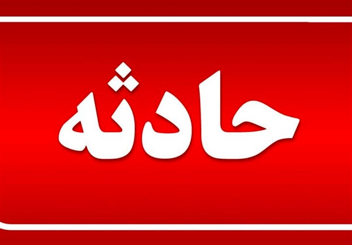 فیلم سقوط چنار عظیم در خیابان ولیعصر و له شدن ماشینها