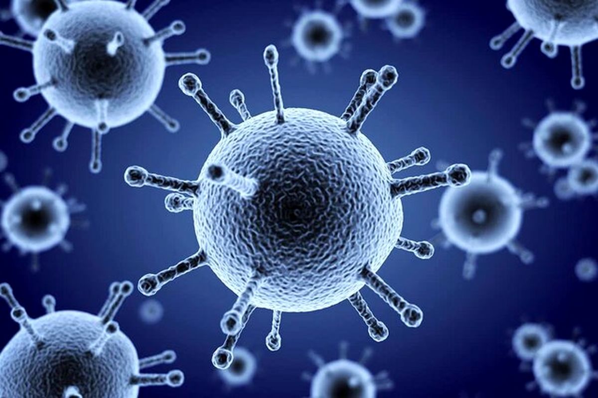 اولین مبتلای ویروس جدید شناسایی شد